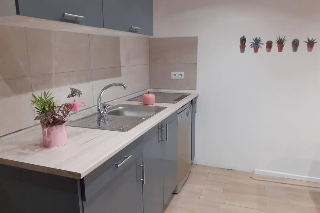 Appartement 3 Pieces Dans Villa Individuelle Falicon Exterior foto